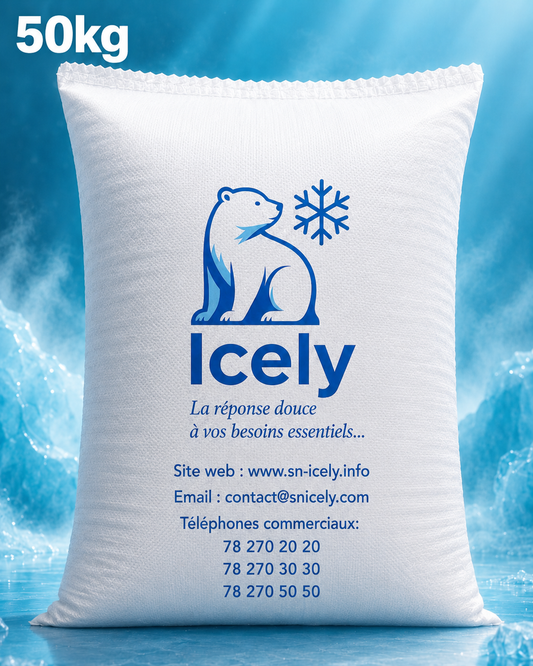 A5_Glace broyée 50 Kg