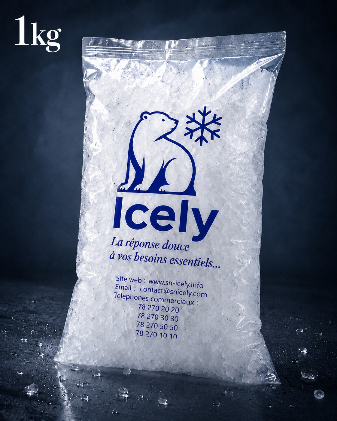 A1_Glace broyée 1KG