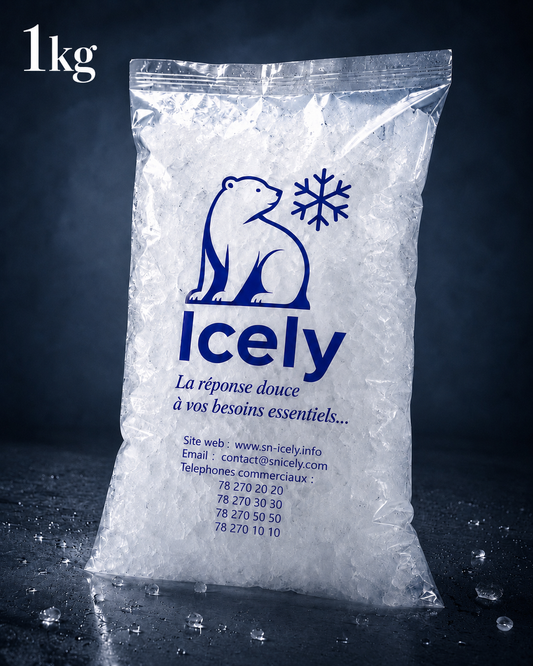 A1_Glace broyée 1KG